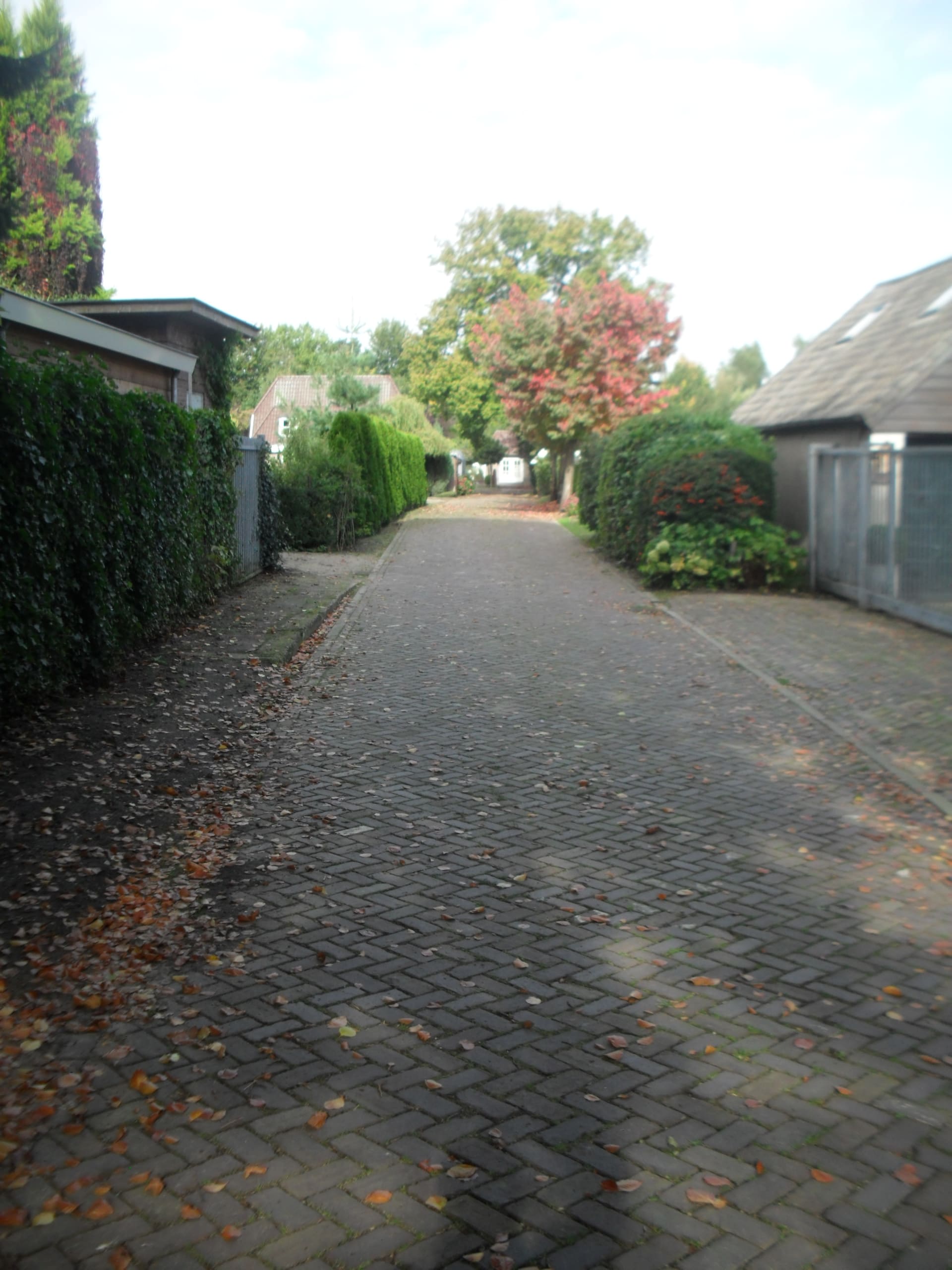 De zijtak van de Dorpsstraat met een berm
